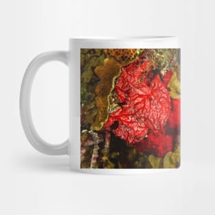 Red Coral Sponge Mug